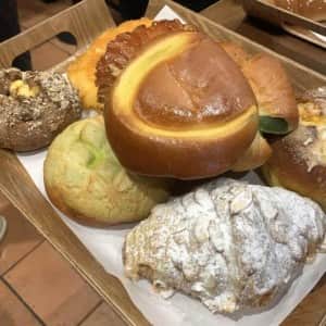 성심당 빵 2만원 어치 체감