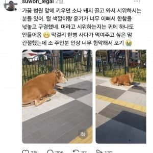 변호사가 법원 앞에서 한참을 구경하는것