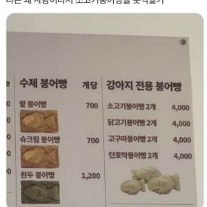 사람이라 못먹는 소고기붕어빵