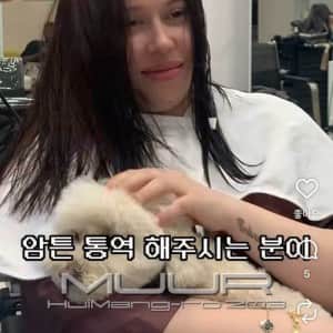 KBO 삼성 르윈 디아즈 통역 비시즌 업무