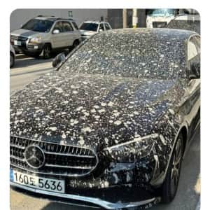 대형사고 친 노가다 초짜