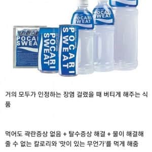 장염 걸렸을 때 최고존엄 1티어 음료 