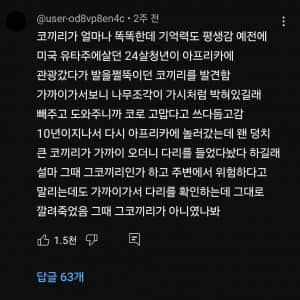 사실 굉장히 똑똑하고 기억력도 평생 간다는 코끼리