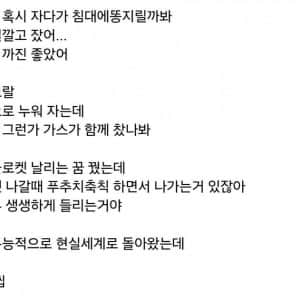 장염이 심한데 자다가 똥지릴까봐 비닐 깔고 잣서...