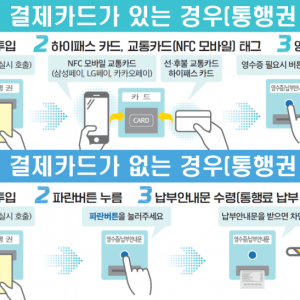 의외로 아직까지 우리나라에서 할 수 없는 것 