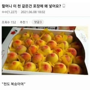 이 천 같은건 포장에 왜 넣어요?