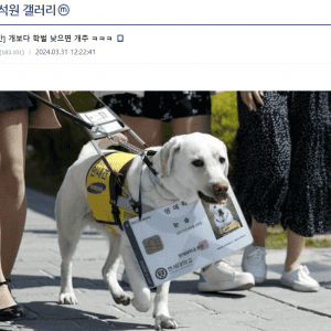 개보다 학벌 낮으면 개추
