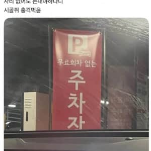 시골 사람들 서울 가면 정신 똑디 챙겨야 하는 이유