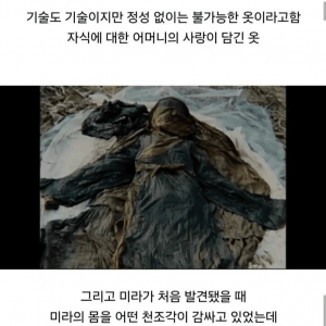 조선시대 아이 묘를 파묘해보니 