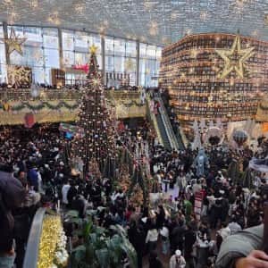 실시간 코엑스 인파 근황
