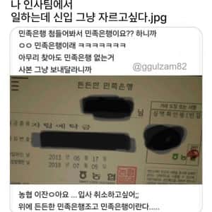나 인사팀에서 일하는데 신입 그냥 자르고싶다