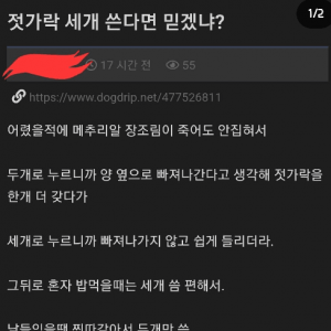 젓가락질 신유형