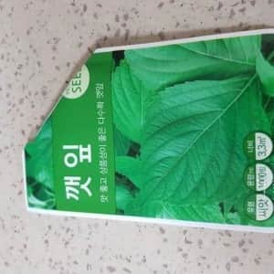 성격 급한 사람의 깻잎