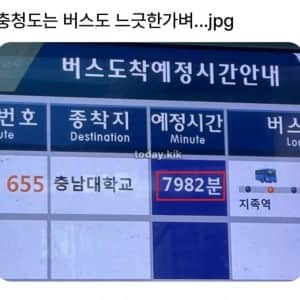 충청도는 버스도 느긋한가벼..