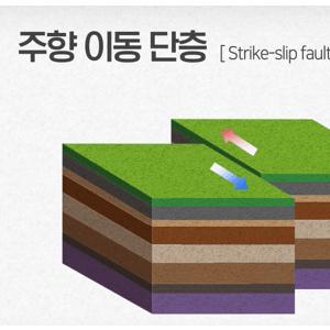 2025년에 인류 최초로 영상으로 포착된것