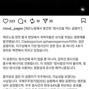 방사능을 먹는 곰팡이 발견