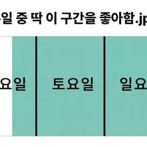 일주일 중 딱 이 구간을 좋아함
