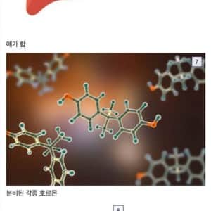 간이 개쩌는 장기인 이유