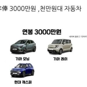 연봉별 자동차 계급도