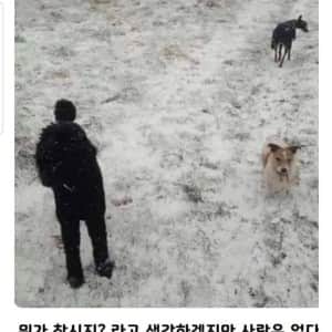 무조건 속을수밖에 없는 착시 사진