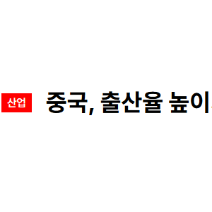 보법이 다른 중국식 저출산 해결법
