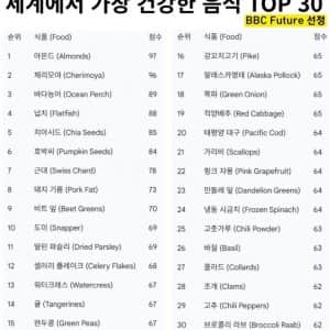 BBC 선정 세계에서 가장 건강한 음식 TOP 30 