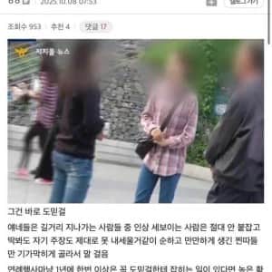 찐따판별 전문가인 직업 