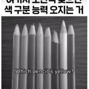 여기서 노란색 찾으면 색 구분 능력 오지는 거
