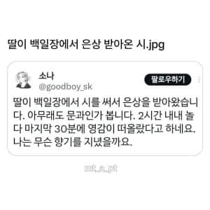 딸아, 그냥 문과로 가거라
