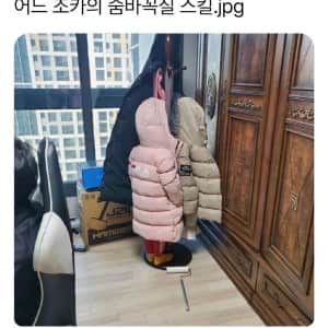 조카의 숨바꼭질 스킬이 훌륭하다