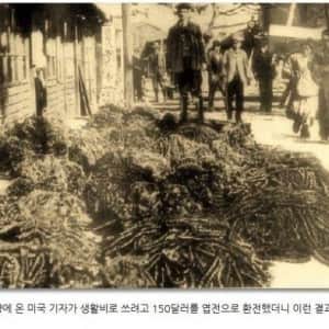 K-문화 즐기러온 외국인 근황