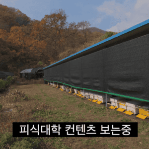최근자 미친짓으로 유튜브 레드오션 만드는 100만 유튜버