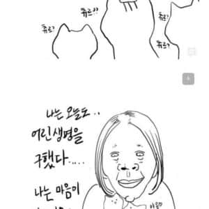 캣맘들 ㅈㄴ 긁힌다는 만화