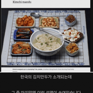 필연적인 존재로 설명된 김치만두