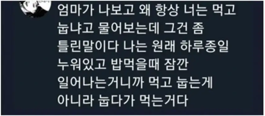 먹고 바로 눕는 사람들 공감