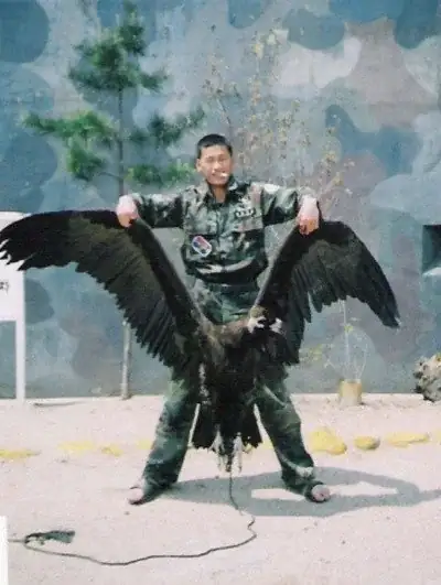 일반인들은 잘 모르는 실제 독수리 크기