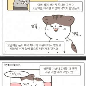 가게 주방 싱크대에서 구조된 고양이
