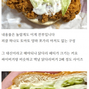 쓸데없이 근본있는 침착맨 치킨버거