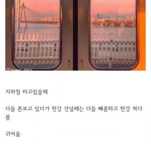사실 서울 사람들도 은근 한강을 좋아함
