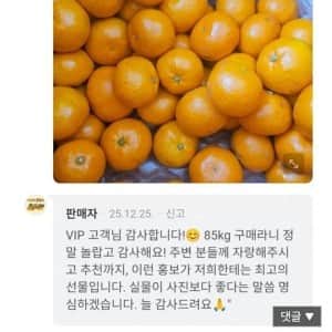 귤에 미쳐버린 사나이