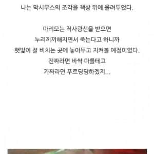 충격적인 반려식물 후기 