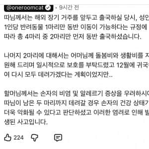 해외간 딸이 맡기고 간 고양이 버린 엄마