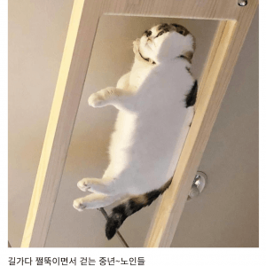 허리디스크가 파열되고 나서야 보이는 것들