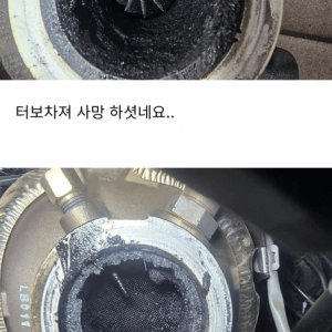 뇌속이 궁금한 차량 오너