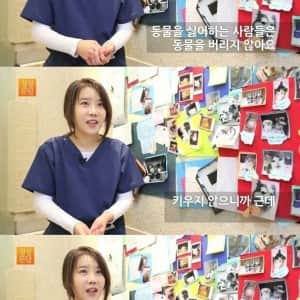 동물 버리는 인간들을 향한 수의사의 나긋한 팩트 폭행