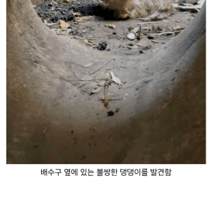 운하 탐험하던 남자가 발견한 것