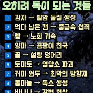 냉장고에 넣으면 오히려 독이 되는 것들