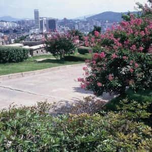 1999년 세기말 서울의 모습들 