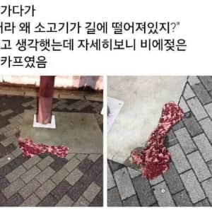 누군가 바닥에 버리고 간 소고기