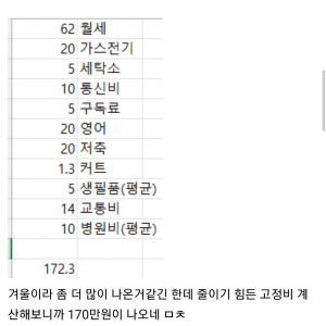 고정비가 170만원 나간다는 사회초년생
